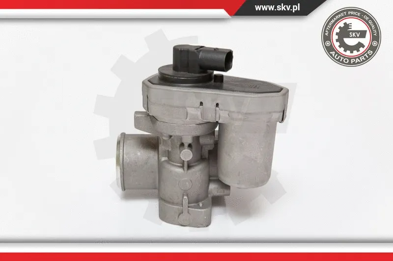 EGR Valve (14SKV084)
