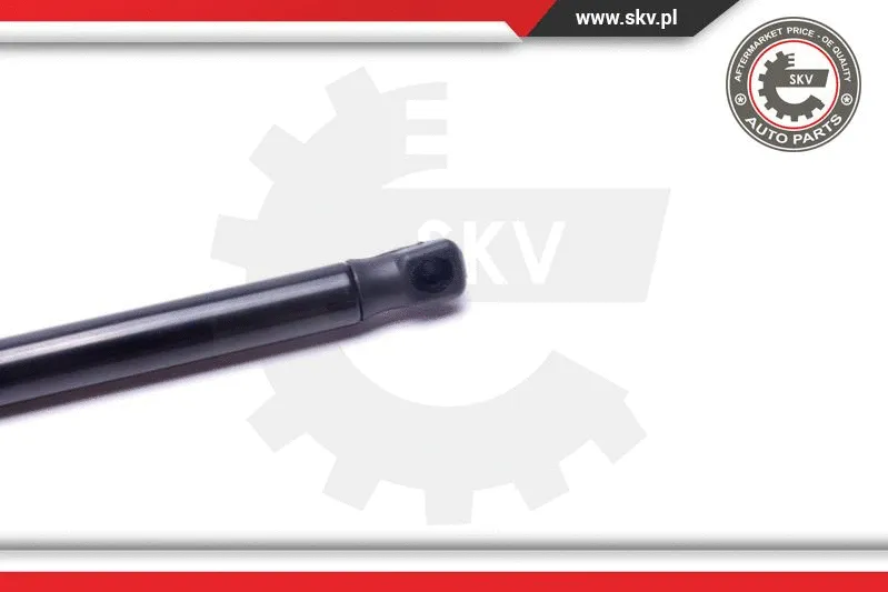 Gas Spring, boot/cargo area