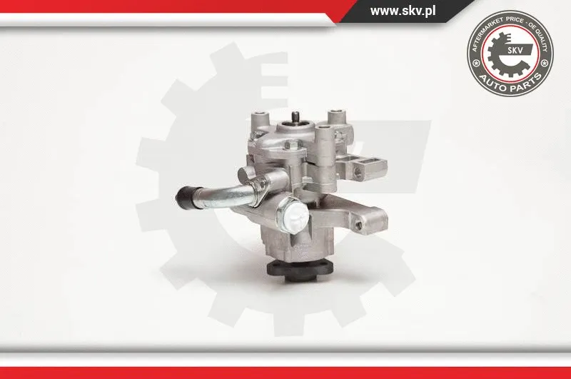 Hydraulic Pump, steering (10SKV106)
