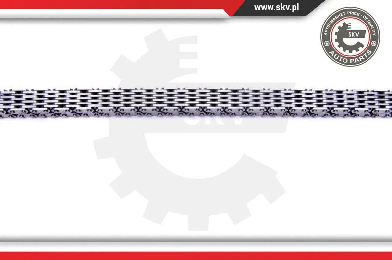 Timing Chain Kit