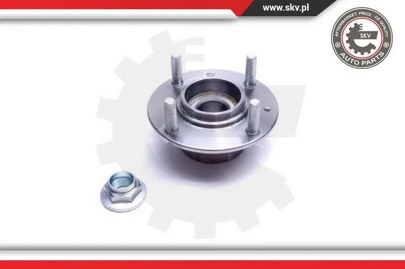Wheel Bearing Kit