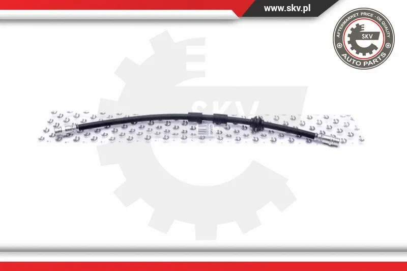 Brake Hose (35SKV171)