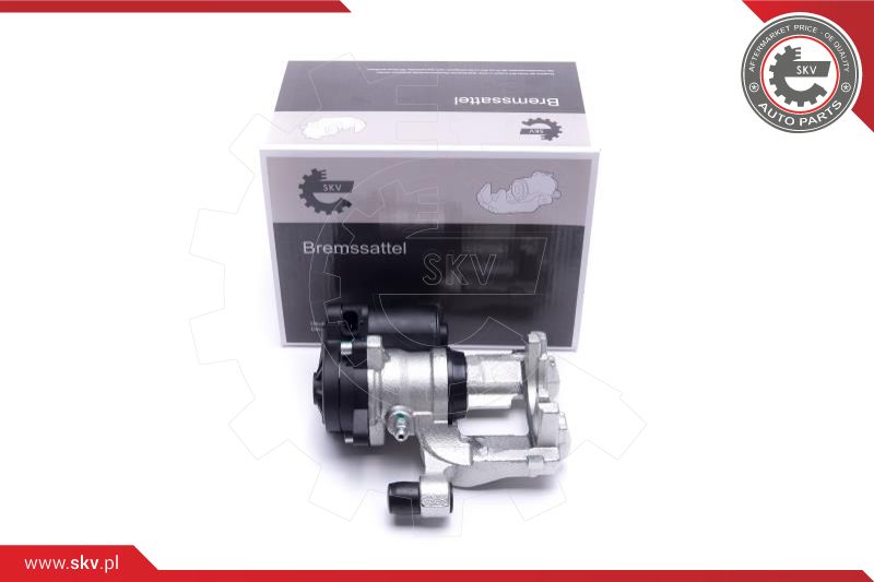 Brake Caliper (45SKV034)
