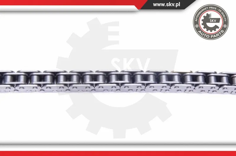 Timing Chain Kit