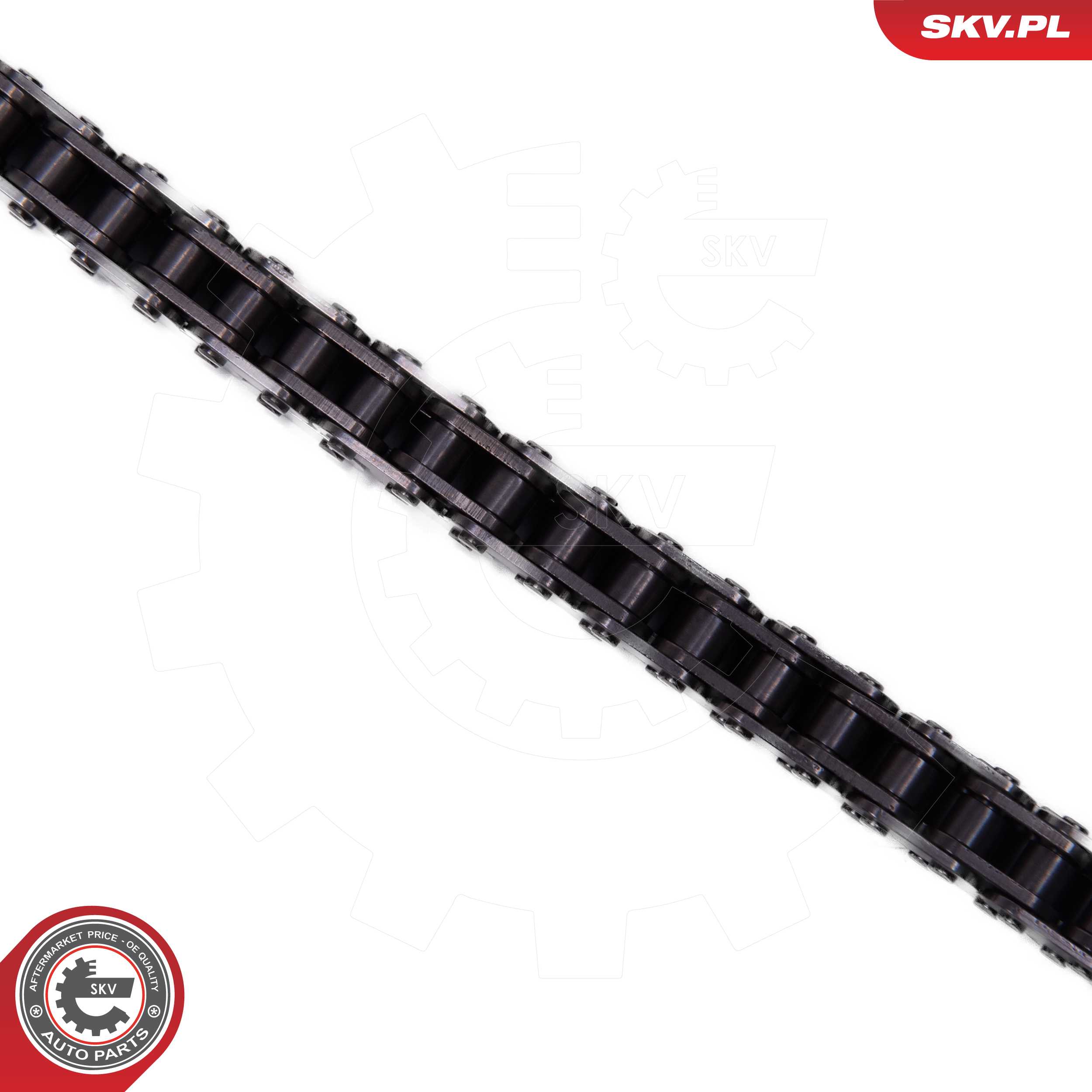 Timing Chain Kit