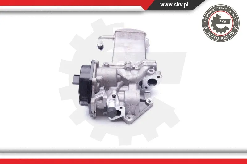 EGR Valve