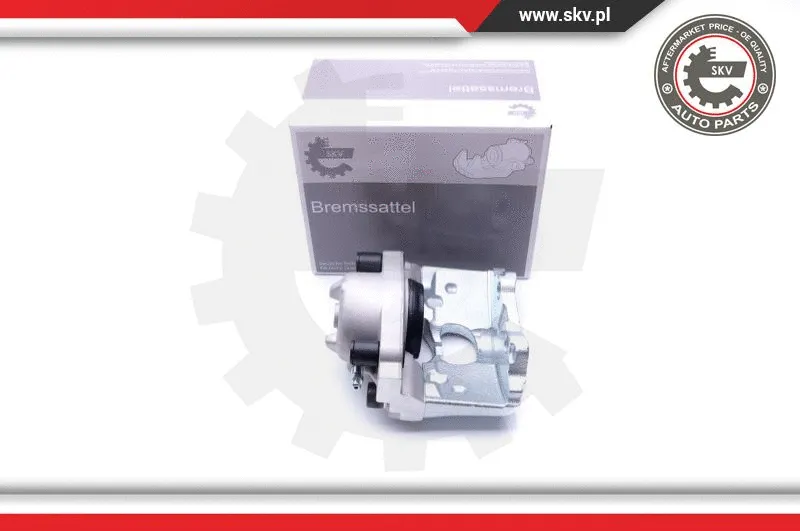 Brake Caliper (42SKV821)