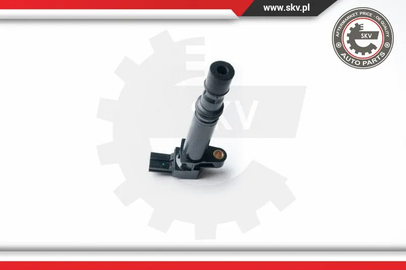 Ignition Coil (03SKV222)