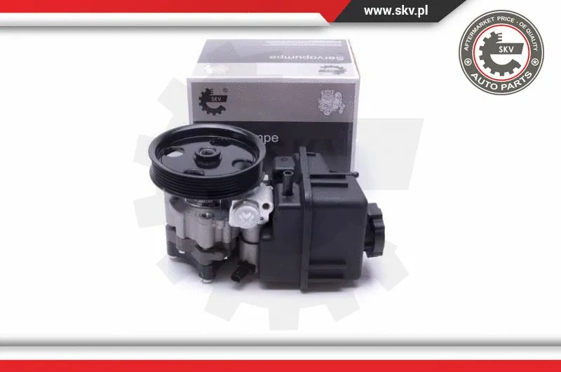 Hydraulic Pump, steering (10SKV307)
