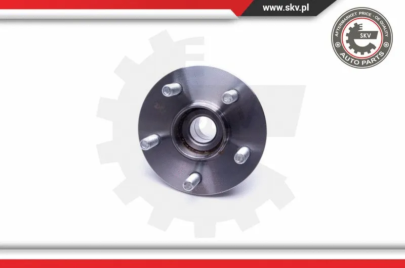 Wheel Bearing Kit