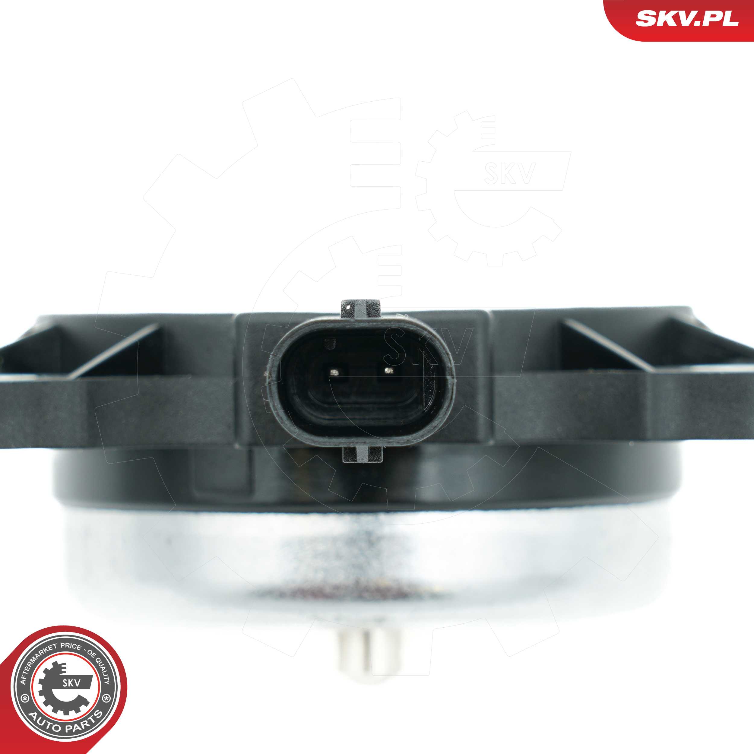 Central Magnet, camshaft adjustment