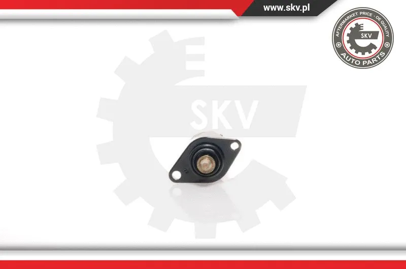Idle Control Valve, air supply (08SKV004)