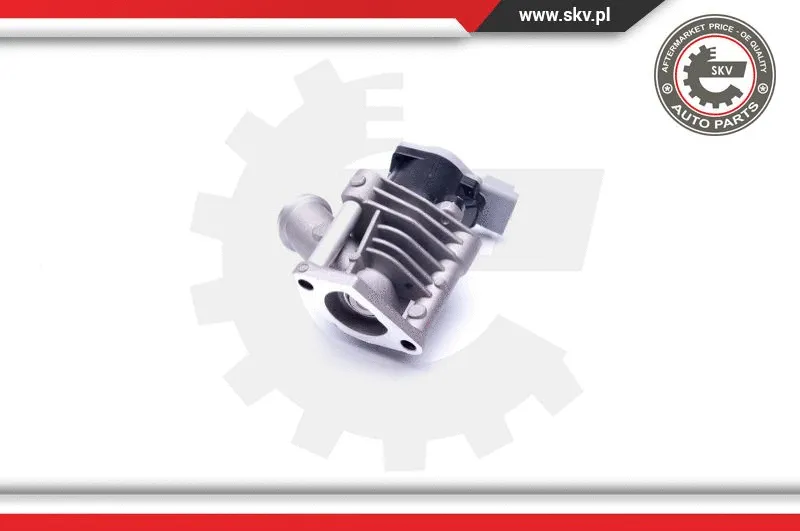 EGR Valve