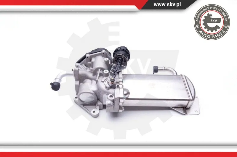 EGR Valve (14SKV154)