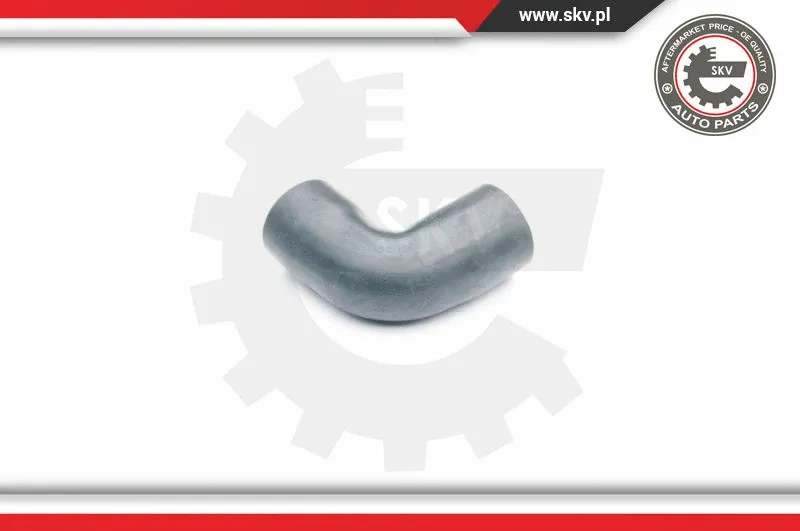 Charge Air Hose (24SKV086)
