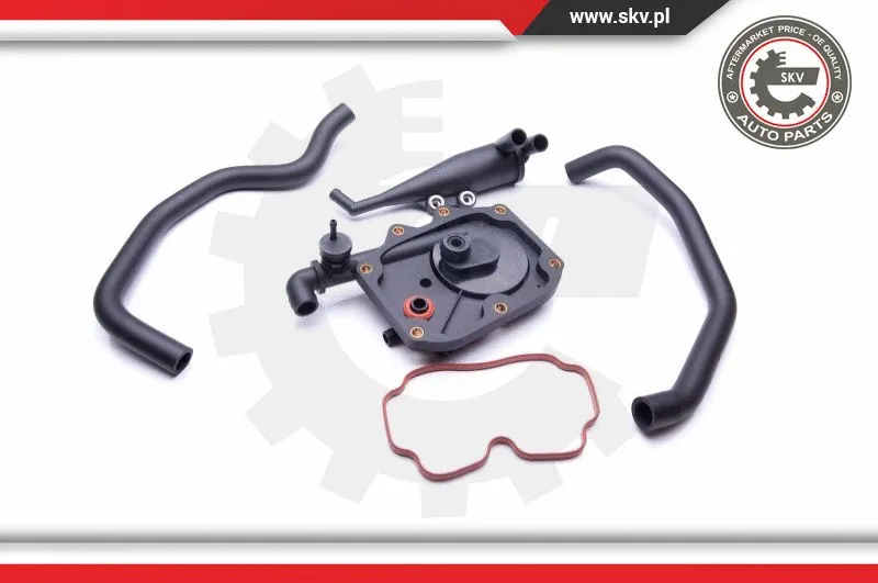 Repair Kit, crankcase ventilation (31SKV100)
