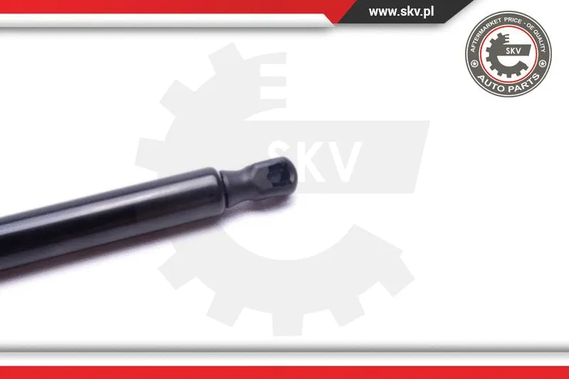 Gas Spring, boot/cargo area