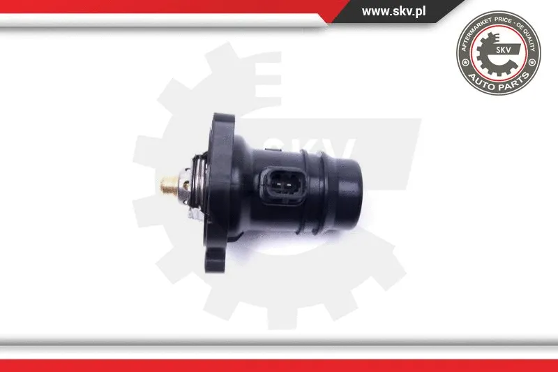 Thermostat, coolant