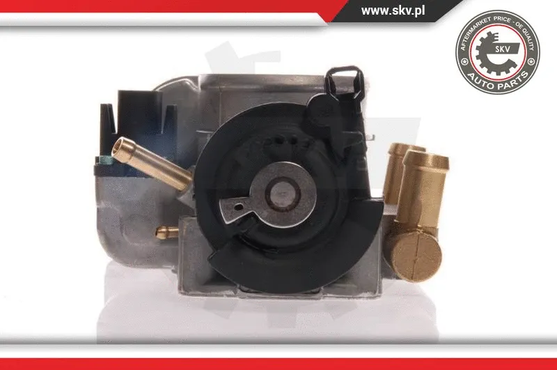 Throttle Body (12SKV018)