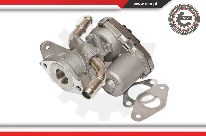 EGR Valve
