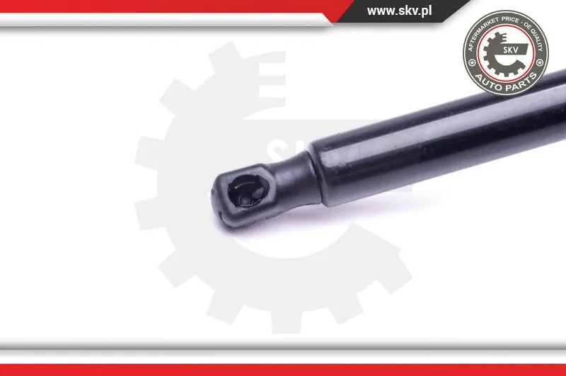 Gas Spring, boot/cargo area