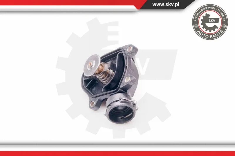 Thermostat, coolant