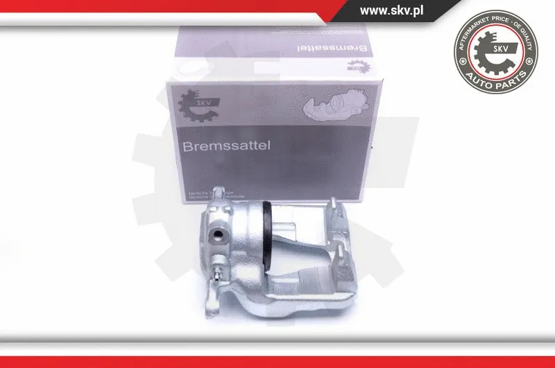 Brake Caliper (44SKV271)