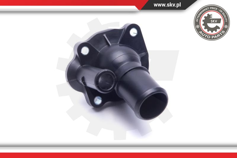 Thermostat, coolant