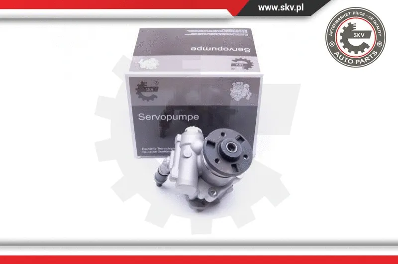 Hydraulic Pump, steering (10SKV246)
