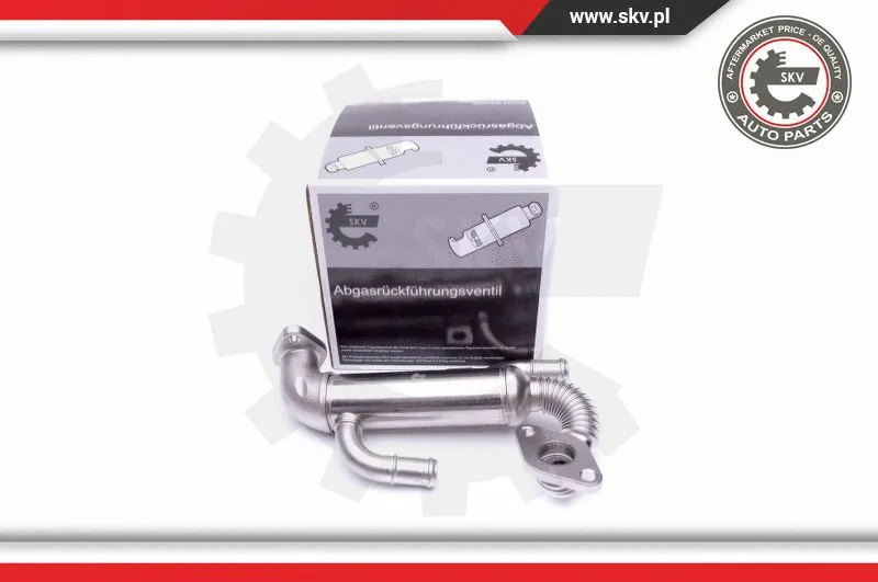 Cooler, exhaust gas recirculation (14SKV220)