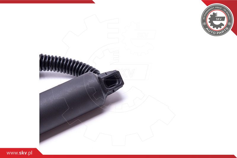 Electric Motor, tailgate