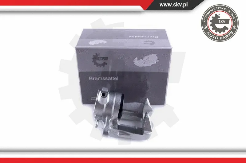 Brake Caliper (55SKV131)