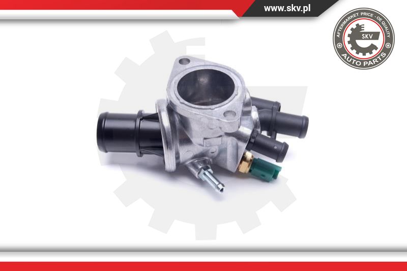 Thermostat, coolant