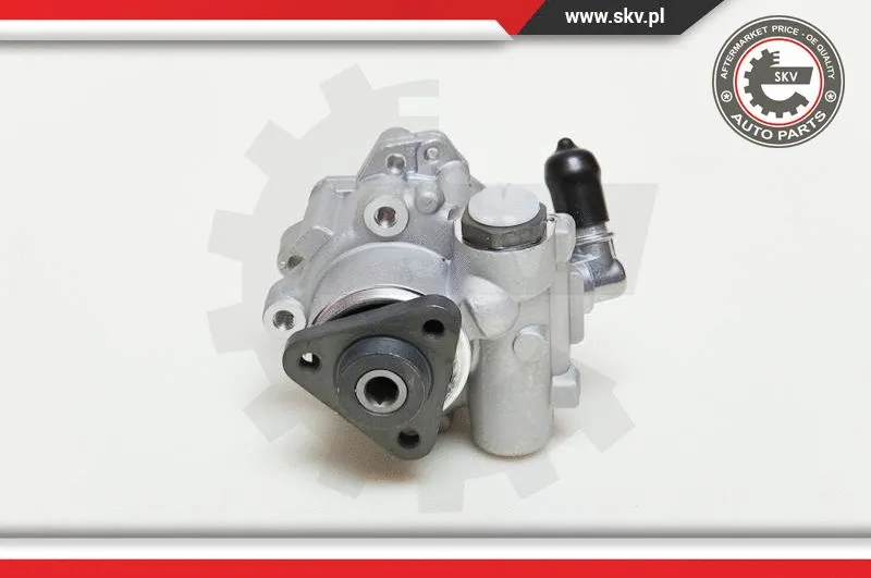 Hydraulic Pump, steering (10SKV049)