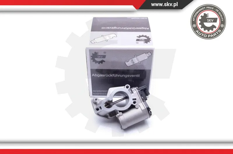 EGR Valve (14SKV184)