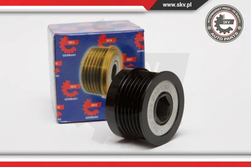 Alternator Freewheel Clutch (11SKV060)