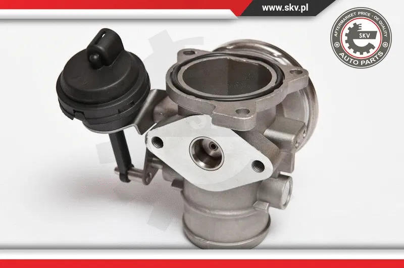 EGR Valve