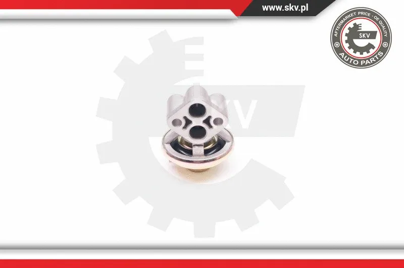 EGR Valve (14SKV130)