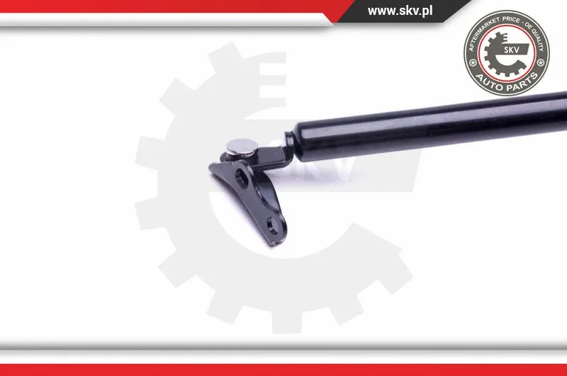 Gas Spring, boot/cargo area
