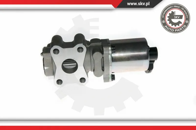 EGR Valve (14SKV088)