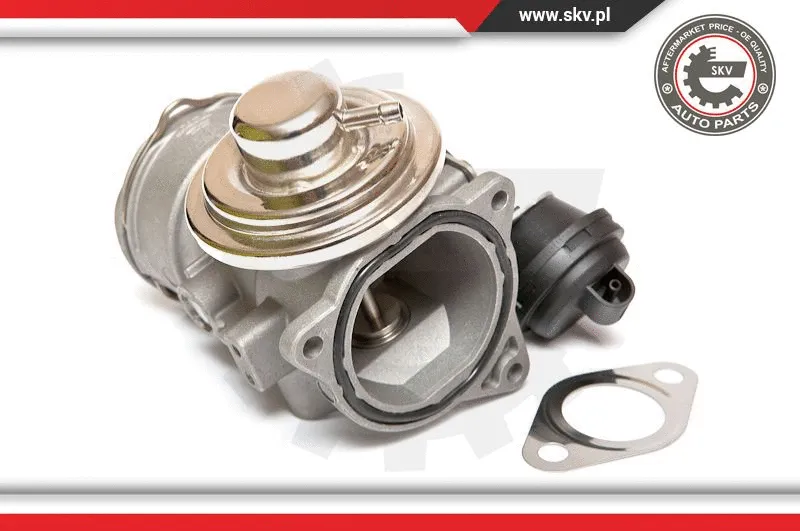 EGR Valve