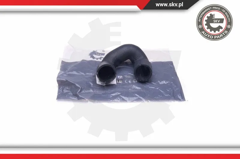 Radiator Hose (43SKV745)