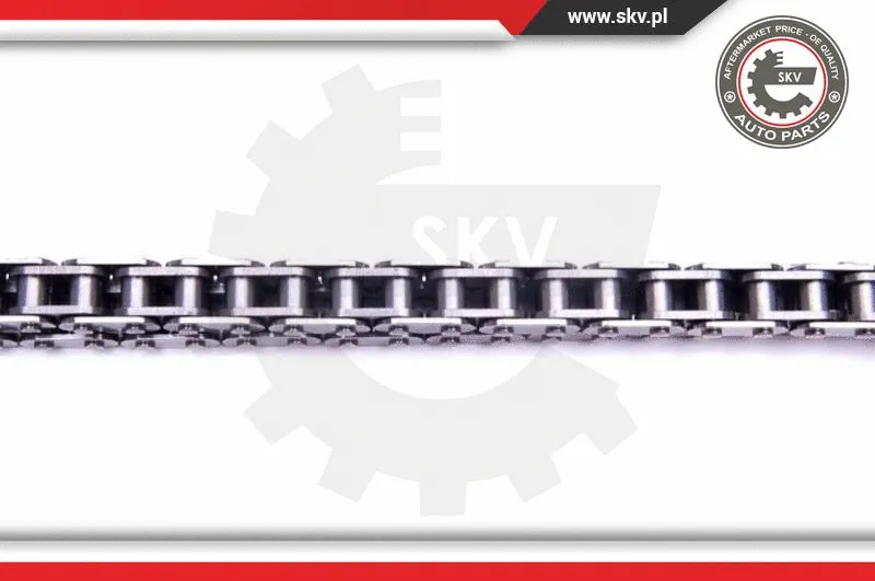 Timing Chain Kit