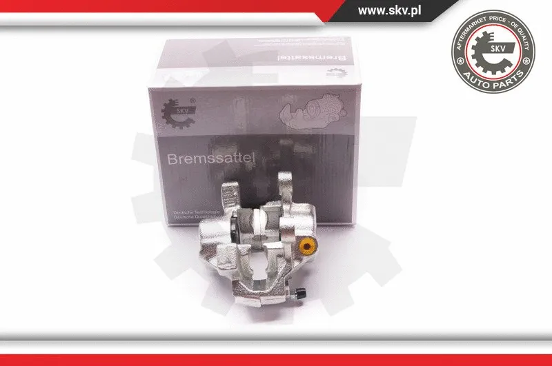 Brake Caliper (23SKV573)