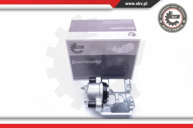 Brake Caliper (42SKV622)
