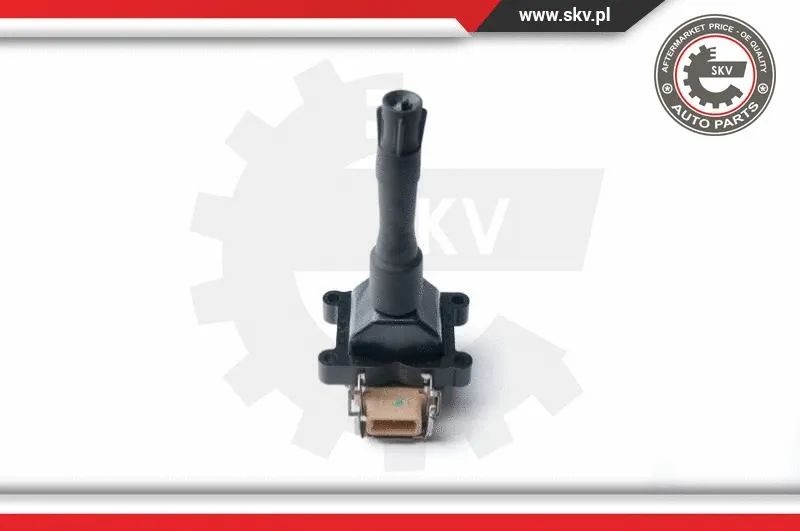 Ignition Coil (03SKV219)