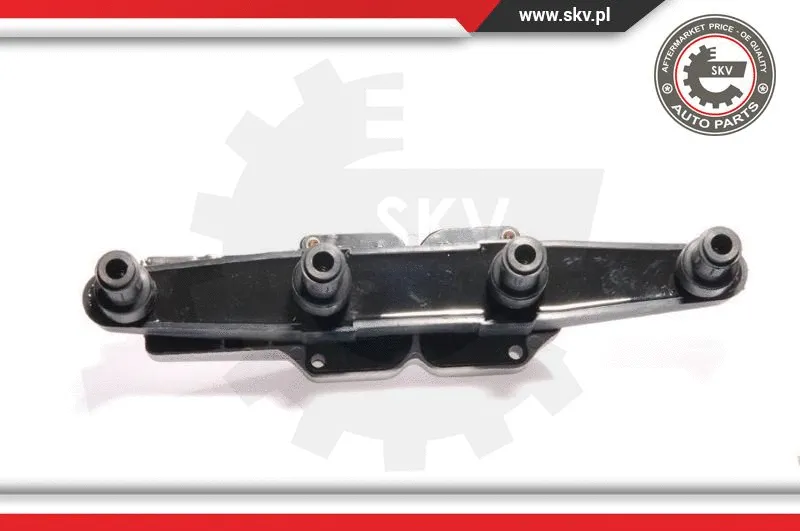 Ignition Coil (03SKV068)