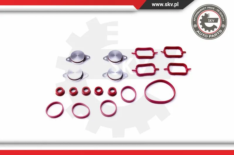 Gasket Set, intake manifold (96SKV053)