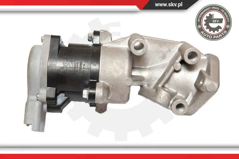 EGR Valve