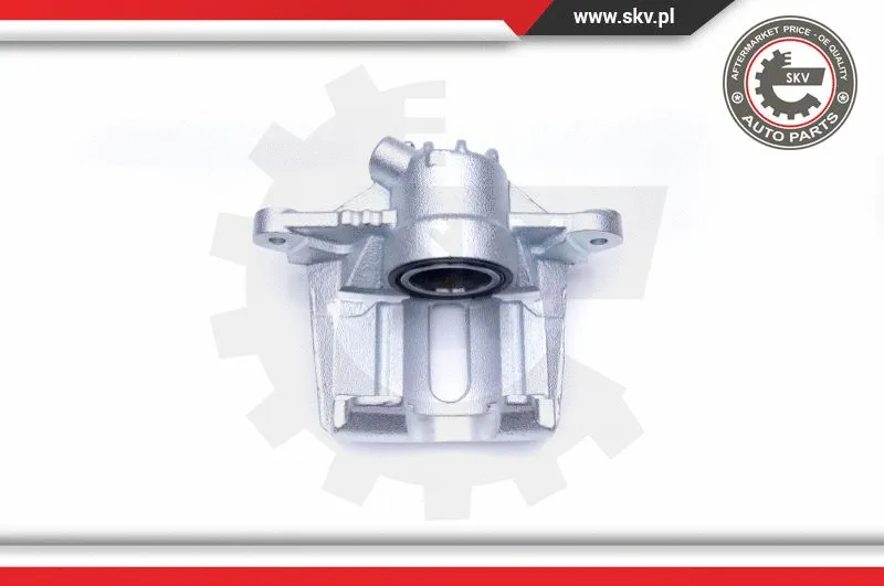 Brake Caliper (42SKV841)
